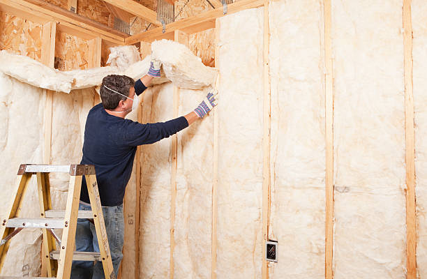 Best Eco-Friendly or Green Insulation Solutions  in Lake Cherokee, TX